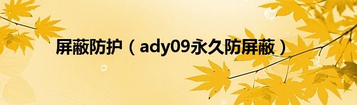 屏蔽防护（ady09永久防屏蔽）