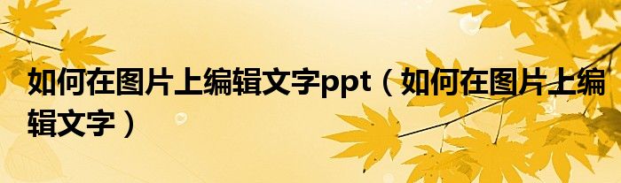 如何在图片上编辑文字ppt（如何在图片上编辑文字）