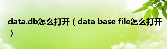 data.db怎么打开（data base file怎么打开）