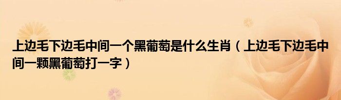 上边毛下边毛中间一个黑葡萄是什么生肖（上边毛下边毛中间一颗黑葡萄打一字）