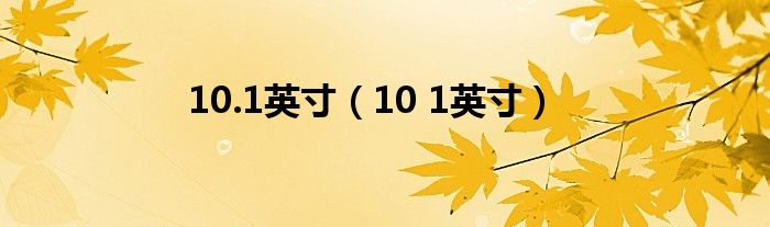 10.1英寸（10 1英寸）