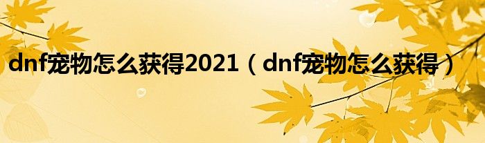 dnf宠物怎么获得2021（dnf宠物怎么获得）