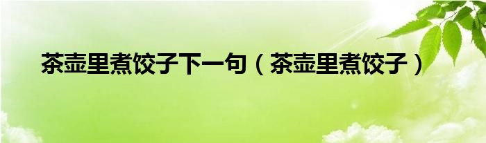 茶壶里煮饺子下一句（茶壶里煮饺子）