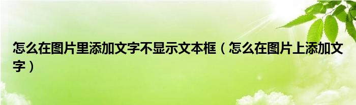 怎么在图片里添加文字不显示文本框（怎么在图片上添加文字）