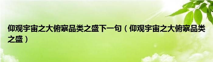 仰观宇宙之大俯察品类之盛下一句（仰观宇宙之大俯察品类之盛）