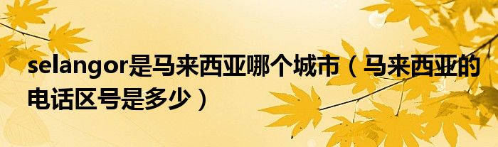 selangor是马来西亚哪个城市（马来西亚的电话区号是多少）