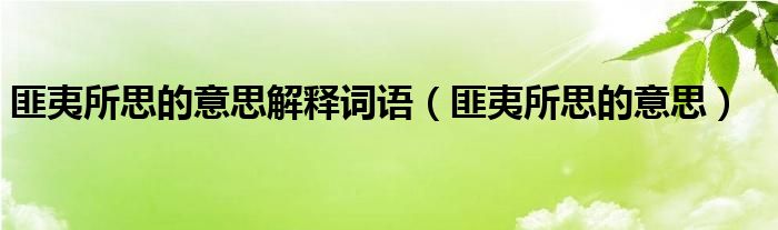 匪夷所思的意思解释词语（匪夷所思的意思）