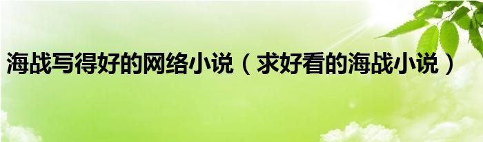 海战写得好的网络小说（求好看的海战小说）