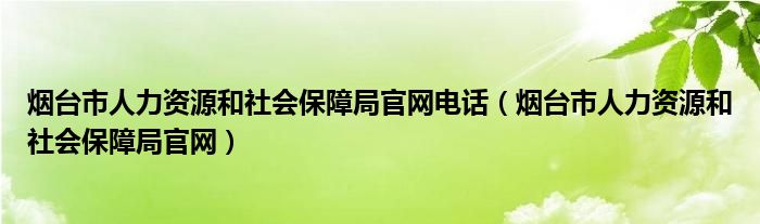 烟台市人力资源和社会保障局官网电话（烟台市人力资源和社会保障局官网）