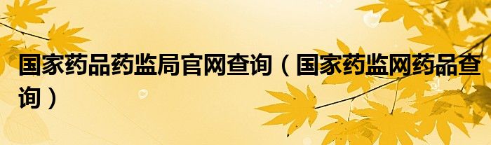 国家药品药监局官网查询（国家药监网药品查询）