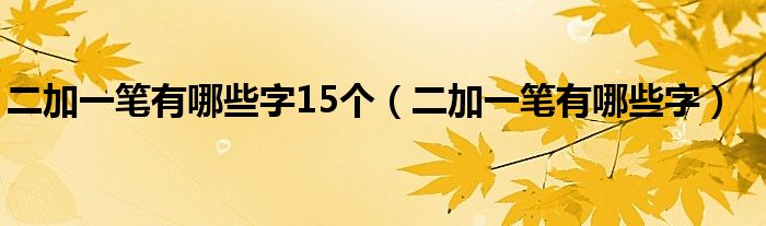 二加一笔有哪些字15个（二加一笔有哪些字）