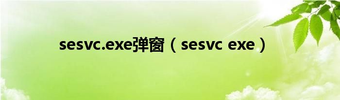 sesvc.exe弹窗（sesvc exe）