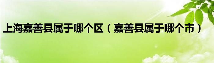 上海嘉善县属于哪个区（嘉善县属于哪个市）