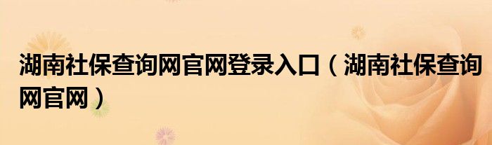 湖南社保查询网官网登录入口（湖南社保查询网官网）