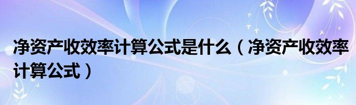 净资产收效率计算公式是什么（净资产收效率计算公式）