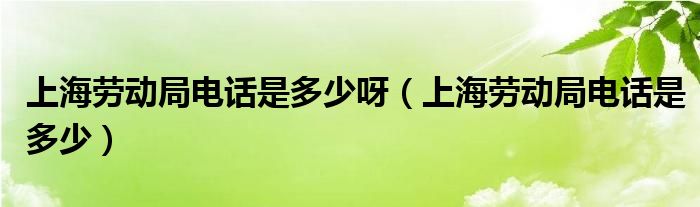 上海劳动局电话是多少呀（上海劳动局电话是多少）