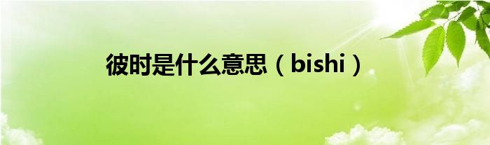 彼时是什么意思（bishi）