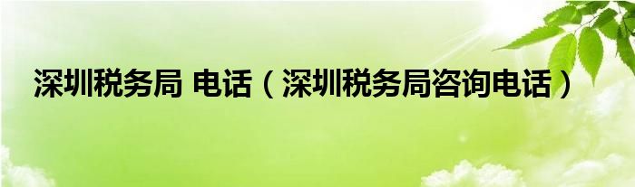 深圳税务局 电话（深圳税务局咨询电话）