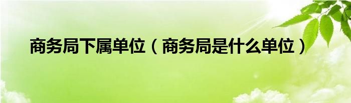 商务局下属单位（商务局是什么单位）