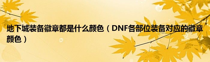 地下城装备徽章都是什么颜色（DNF各部位装备对应的徽章颜色）