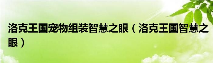 洛克王国宠物组装智慧之眼（洛克王国智慧之眼）