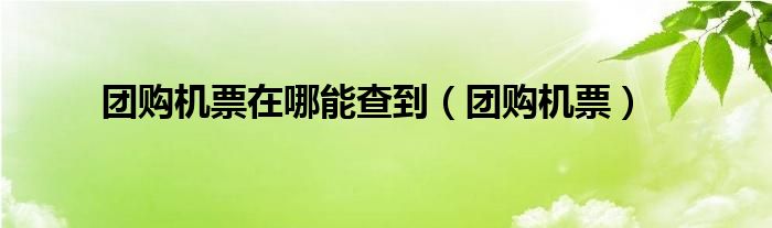 团购机票在哪能查到（团购机票）