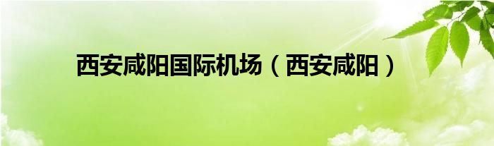 西安咸阳国际机场（西安咸阳）