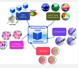 标准化生态研究化石花粉数据集的新工作流程