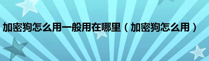 加密狗怎么用一般用在哪里（加密狗怎么用）