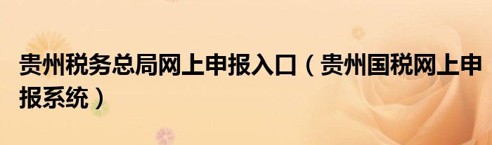 贵州税务总局网上申报入口（贵州国税网上申报系统）