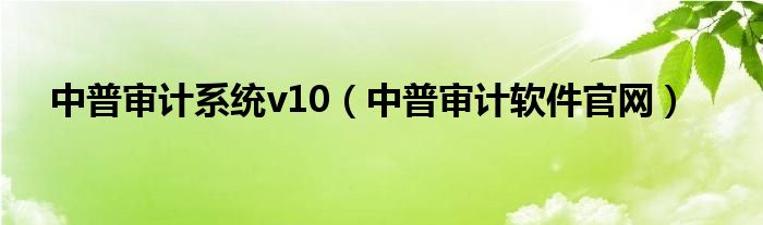 中普审计系统v10（中普审计软件官网）