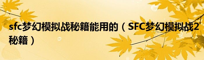 sfc梦幻模拟战秘籍能用的（SFC梦幻模拟战2秘籍）