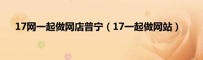 17网一起做网店普宁（17一起做网站）