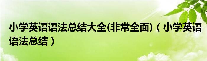 小学英语语法总结大全(非常全面)（小学英语语法总结）