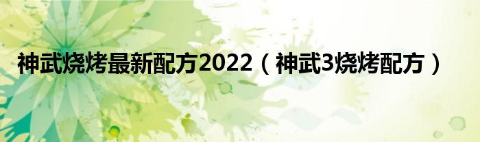 神武烧烤最新配方2022（神武3烧烤配方）