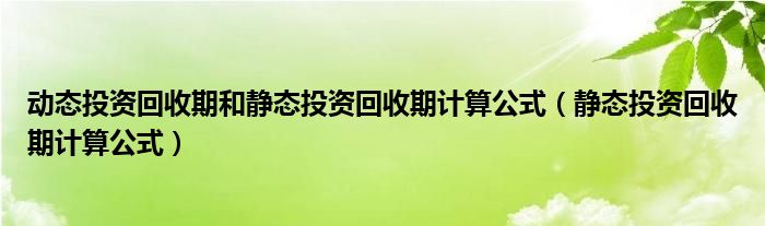 动态投资回收期和静态投资回收期计算公式（静态投资回收期计算公式）