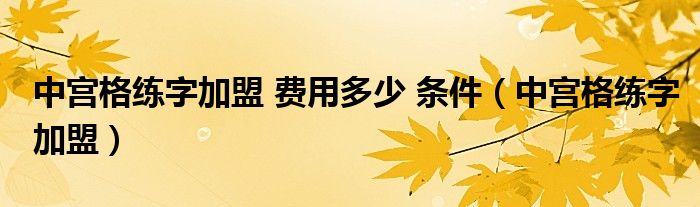 中宫格练字加盟 费用多少 条件（中宫格练字加盟）