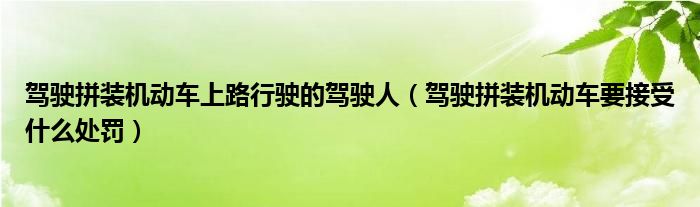 驾驶拼装机动车上路行驶的驾驶人（驾驶拼装机动车要接受什么处罚）