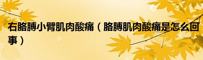 右胳膊小臂肌肉酸痛（胳膊肌肉酸痛是怎么回事）