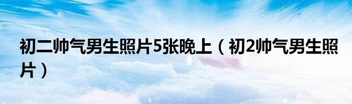 初二帅气男生照片5张晚上（初2帅气男生照片）