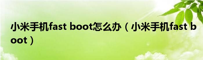 小米手机fast boot怎么办（小米手机fast boot）