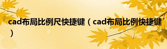 cad布局比例尺快捷键（cad布局比例快捷键）