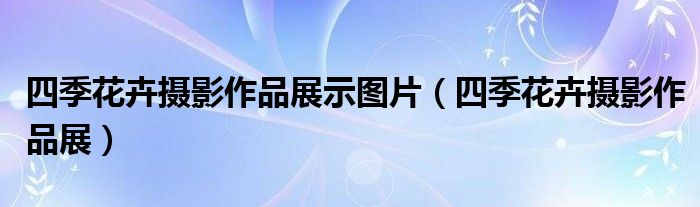 四季花卉摄影作品展示图片（四季花卉摄影作品展）