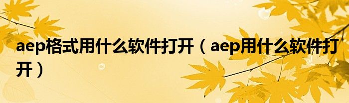 aep格式用什么软件打开（aep用什么软件打开）