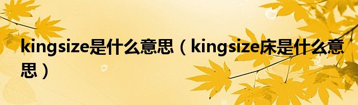 kingsize是什么意思（kingsize床是什么意思）