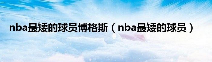 nba最矮的球员博格斯（nba最矮的球员）