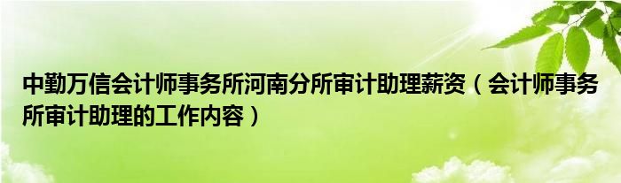 中勤万信会计师事务所河南分所审计助理薪资（会计师事务所审计助理的工作内容）