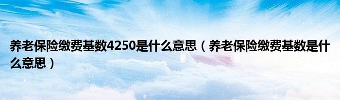 养老保险缴费基数4250是什么意思（养老保险缴费基数是什么意思）