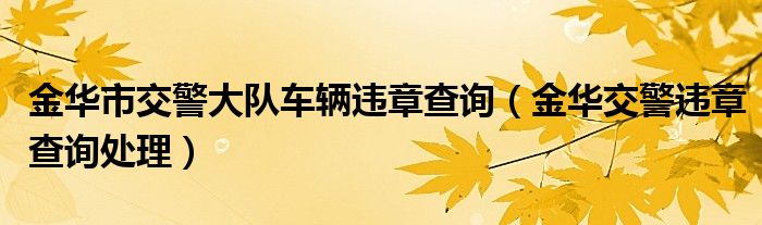 金华市交警大队车辆违章查询（金华交警违章查询处理）