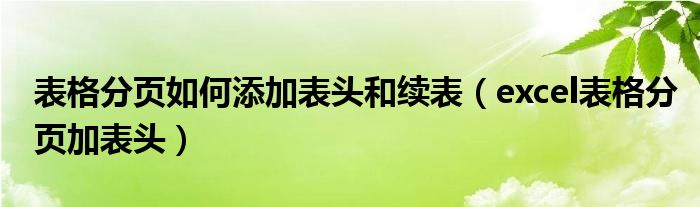 表格分页如何添加表头和续表（excel表格分页加表头）